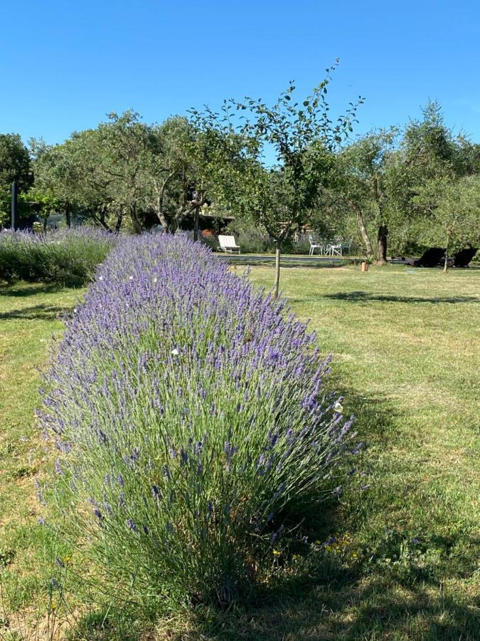 Agriturismo La Cervaiola Piccola Dimora Di Campagna Porano Extérieur photo